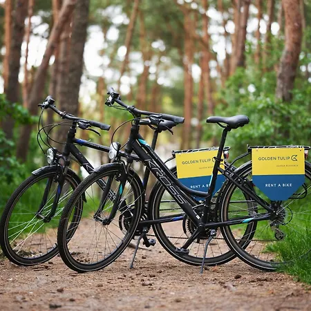 غولدين توليب ريزيدانس شقة فندقية 4*